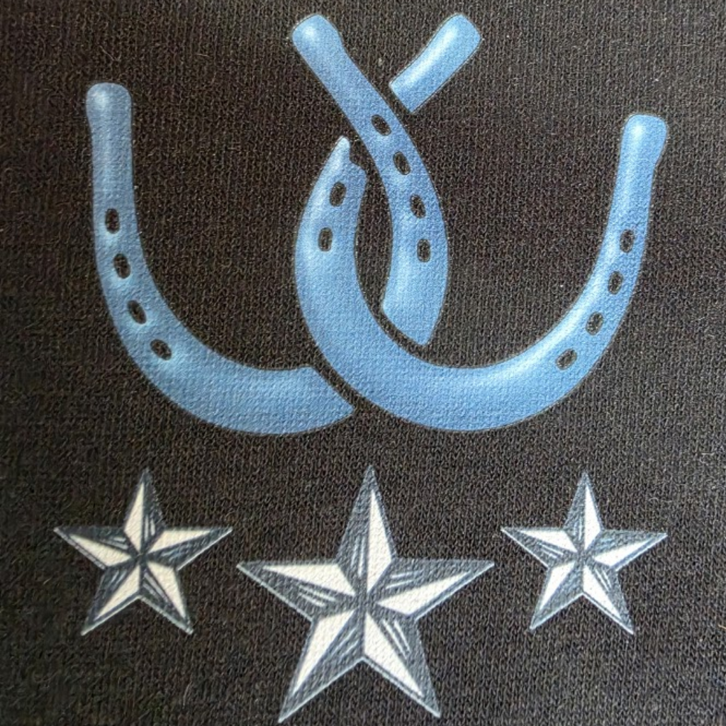 Horseshoe and stars  on a black fabric background. The design features a light blue horseshoe with three silver stars below it.