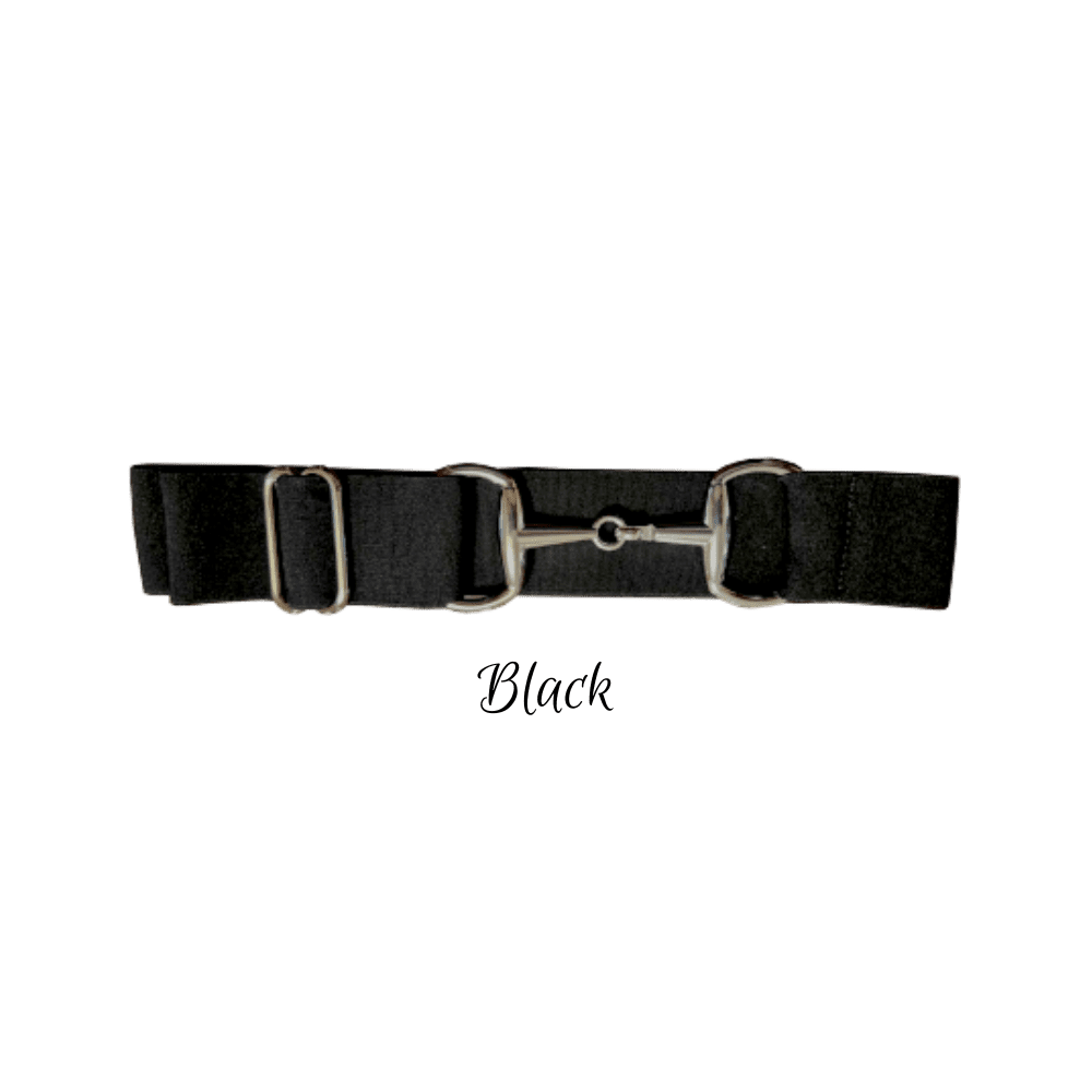 A black leather belt with silver-tone metal hardware, including a central horsebit clasp and two rectangular buckles, shown on a plain white background with the word 'Black' written below.